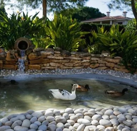 El Campirri Villa Daimés