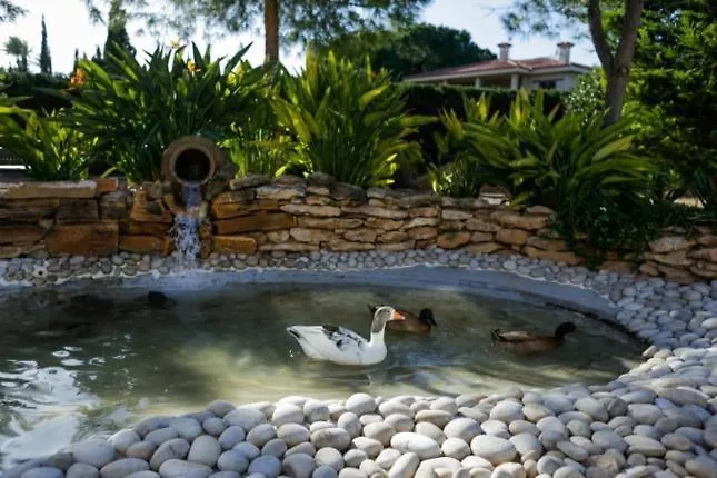 El Campirri Villa Daimés